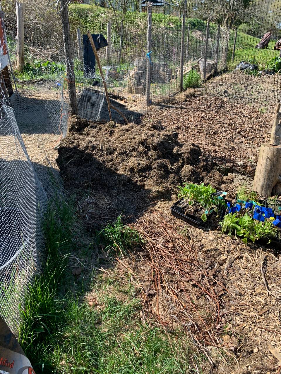 Flowers to be planted with compost